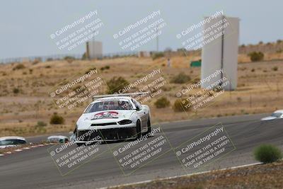 media/May-03-2025-Lucky Dog Racing (Sat) [[206de64b9d]]/Turn 6 (150pm-230pm)/